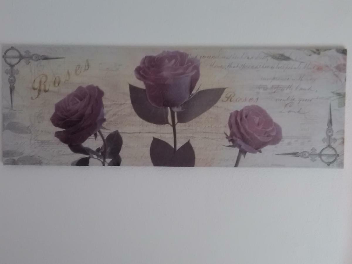 House Rose Apartment Bagian luar foto
